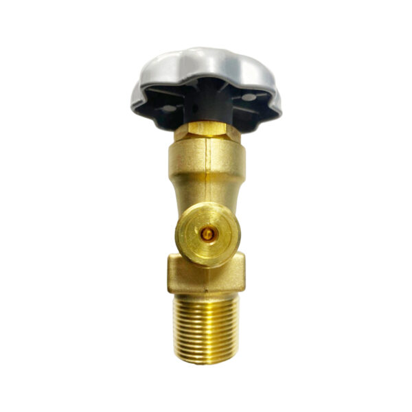 VALVULA CGA 320 3/4" SANAN - Imagen 5